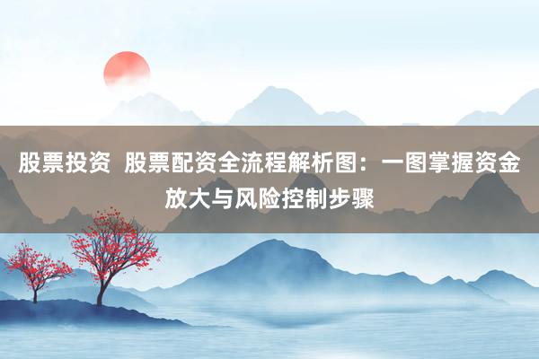 股票投资  股票配资全流程解析图：一图掌握资金放大与风险控制步骤