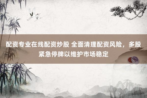 配资专业在线配资炒股 全面清理配资风险，多股紧急停牌以维护市场稳定