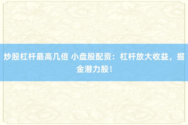 炒股杠杆最高几倍 小盘股配资：杠杆放大收益，掘金潜力股！