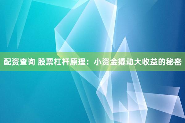 配资查询 股票杠杆原理：小资金撬动大收益的秘密