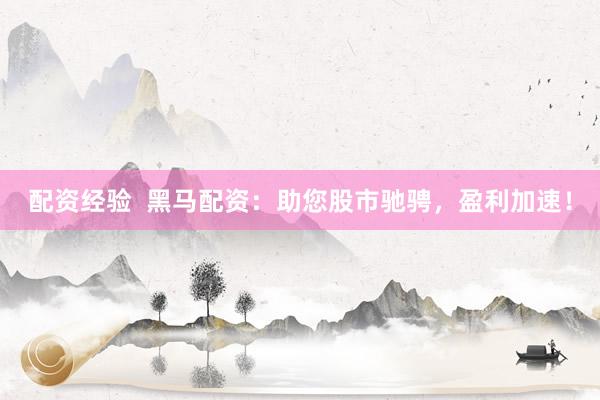 配资经验  黑马配资：助您股市驰骋，盈利加速！