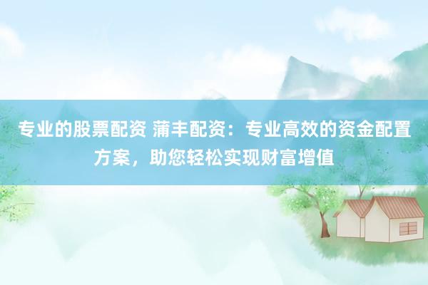 专业的股票配资 蒲丰配资：专业高效的资金配置方案，助您轻松实现财富增值