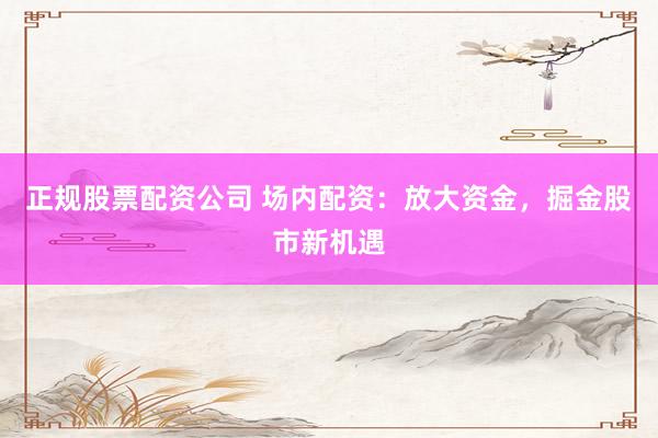 正规股票配资公司 场内配资：放大资金，掘金股市新机遇