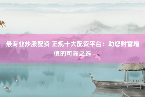 最专业炒股配资 正规十大配资平台：助您财富增值的可靠之选