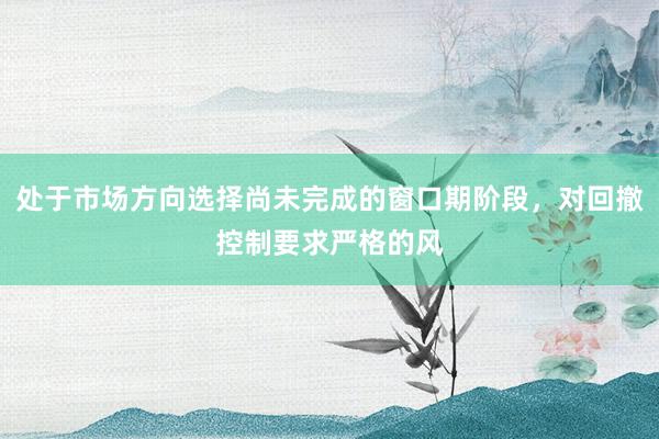 处于市场方向选择尚未完成的窗口期阶段，对回撤控制要求严格的风