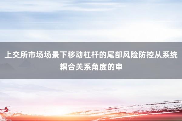 上交所市场场景下移动杠杆的尾部风险防控从系统耦合关系角度的审