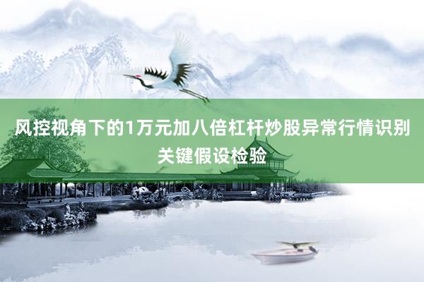 风控视角下的1万元加八倍杠杆炒股异常行情识别关键假设检验