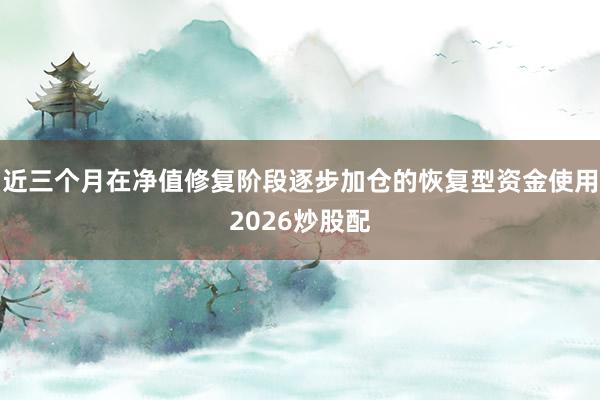 近三个月在净值修复阶段逐步加仓的恢复型资金使用2026炒股配