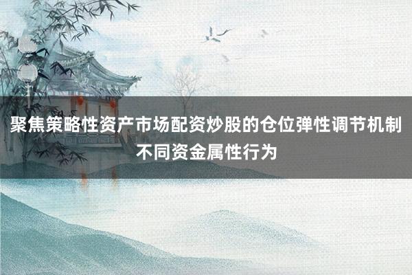 聚焦策略性资产市场配资炒股的仓位弹性调节机制不同资金属性行为